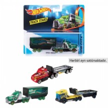 Hot Wheels Kamyonlar BFM60